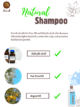 shampoo adult bulk joodbeauty